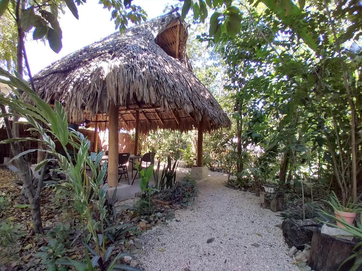 Guarumbo Bacalar Extérieur photo